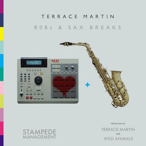 Terrace Martin : 808s & Sax Breaks