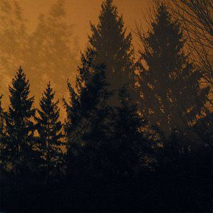Album If These Trees Could Talk - Above the Earth, Below the Sky