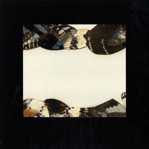 Album Pantha du Prince - Butterfly Girl Versions