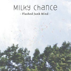 Flashed Junk Mind - album
