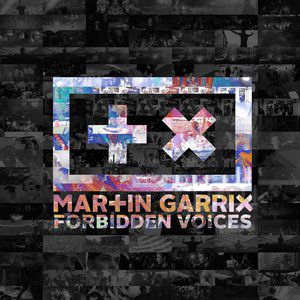 Martin Garrix Forbidden Voices, 2015
