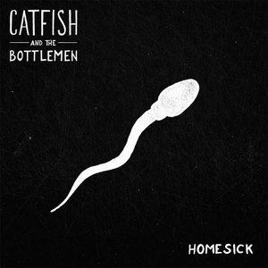 Album Catfish And The Bottlemen - Homesick