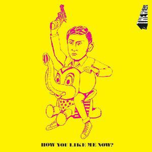 Album The Heavy - How You Like Me Now?