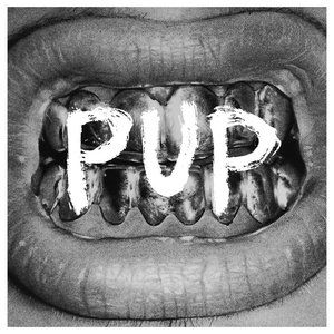 PUP : Pup