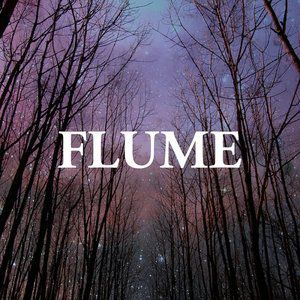 Album Flume - Sleepless