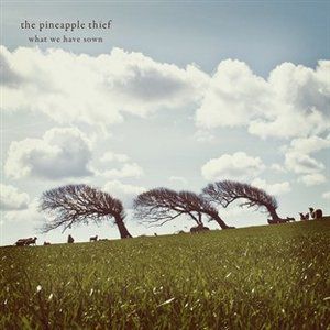 Album The Pineapple Thief - What We Have Sown
