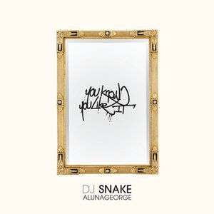 Album DJ Snake - You Know You Like It