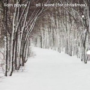 Liam Payne All I Want (For Christmas), 2019