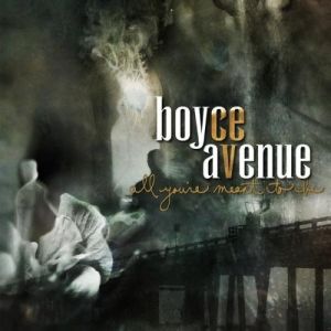 All You’re Meant to Be - Boyce Avenue