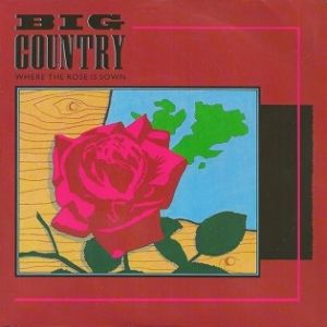 Album Big Country - Where the Rose Is Sown