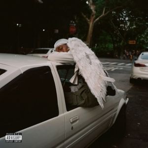 Negro Swan - album