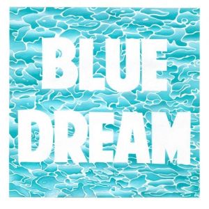 Album Turnover - Blue Dream