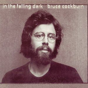 In the Falling Dark - Bruce Cockburn