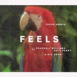 Calvin Harris Feels, 2017