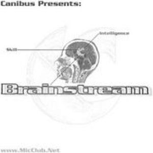 Album Canibus - The Brainstream