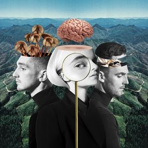 Clean Bandit : What Is Love?