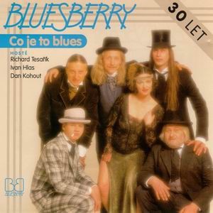 Album Co je to blues - Bluesberry