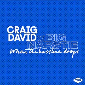 Craig David When the Bassline Drops, 2015