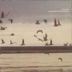 Album Echo & the Bunnymen - A Promise