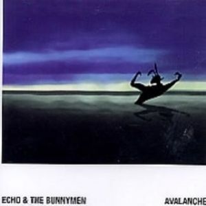 Album Echo & the Bunnymen - Avalanche