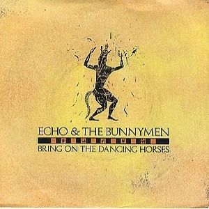 Album Echo & the Bunnymen - Bring On the Dancing Horses