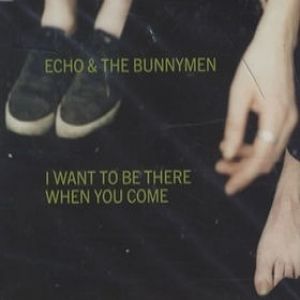 Echo & the Bunnymen : I Want to Be There (When You Come)