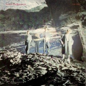 Album Echo & the Bunnymen - Silver