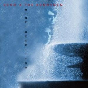 Album Echo & the Bunnymen - Think I Need It Too