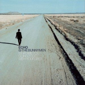 Album Echo & the Bunnymen - What Are You Going to Do with Your Life?