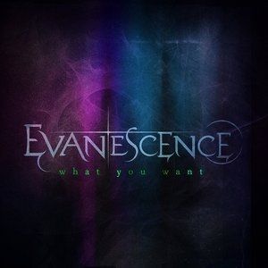 Album What You Want - Evanescence