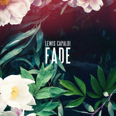 Album Lewis Capaldi - Fade