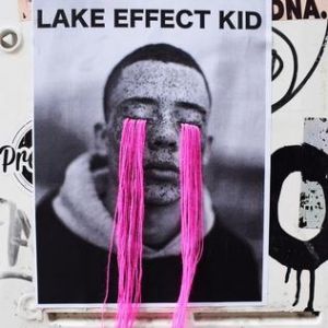 Album Fall Out Boy - Lake Effect Kid