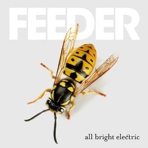 Album All Bright Electric - Feeder
