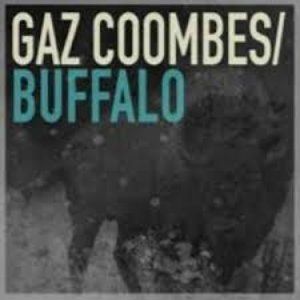Gaz Coombes Buffalo, 2013