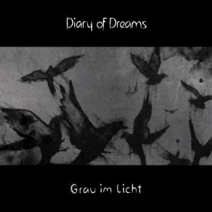 Grau im Licht - Diary of Dreams