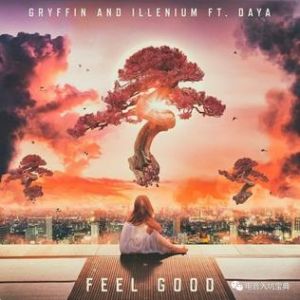 Illenium Feel Good, 2017