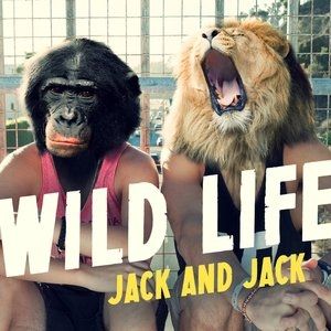 Album Jack & Jack - Wild Life