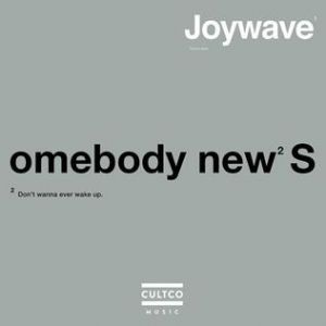Album Joywave - Somebody New
