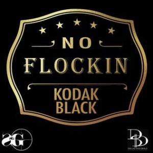 Album Kodak Black - No Flockin