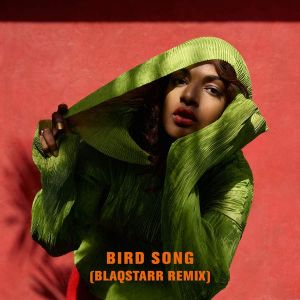 Album Bird Song - M.I.A.