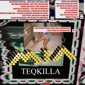 Album M.I.A. - Teqkilla