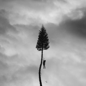 Album Manchester Orchestra - A Black Mile to the Surface