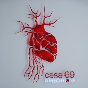 Album Negramaro - Casa 69