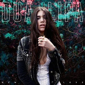 Album Dua Lipa - New Love