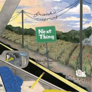 Album Frankie Cosmos - Next Thing