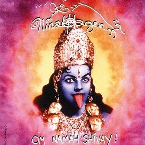 Album Nina Hagen - Om Namah Shivay