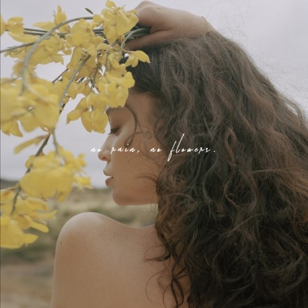 No Rain, No Flowers - Sabrina Claudio