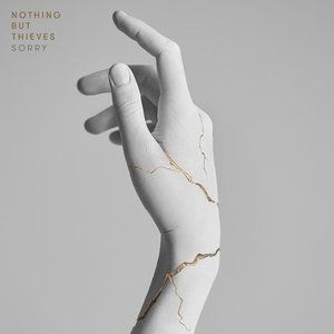 Nothing But Thieves Sorry, 2017