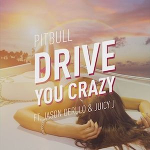 Album Pitbull - Drive You Crazy