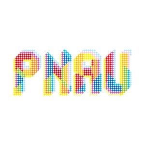 Album Pnau - Pnau